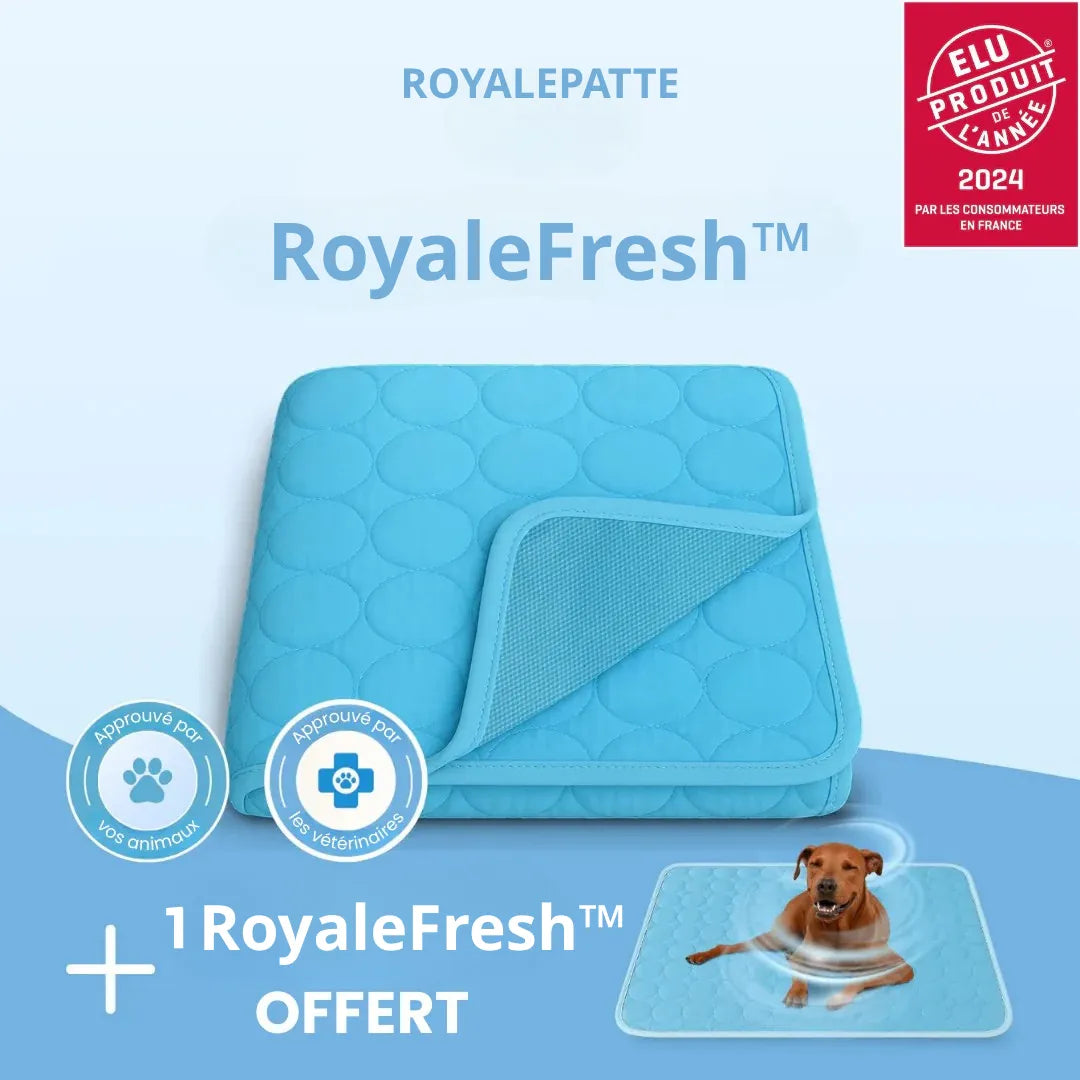 Tapis rafraîchissant - RoyaleFresh™
