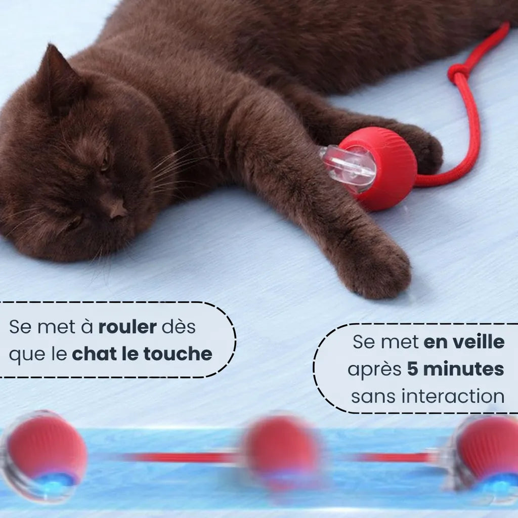 Balle Interactive 1.0 - RoyalePatte™