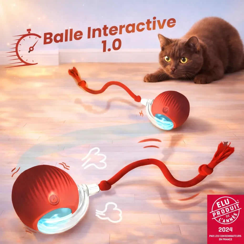 Balle Interactive 1.0 - RoyalePatte™