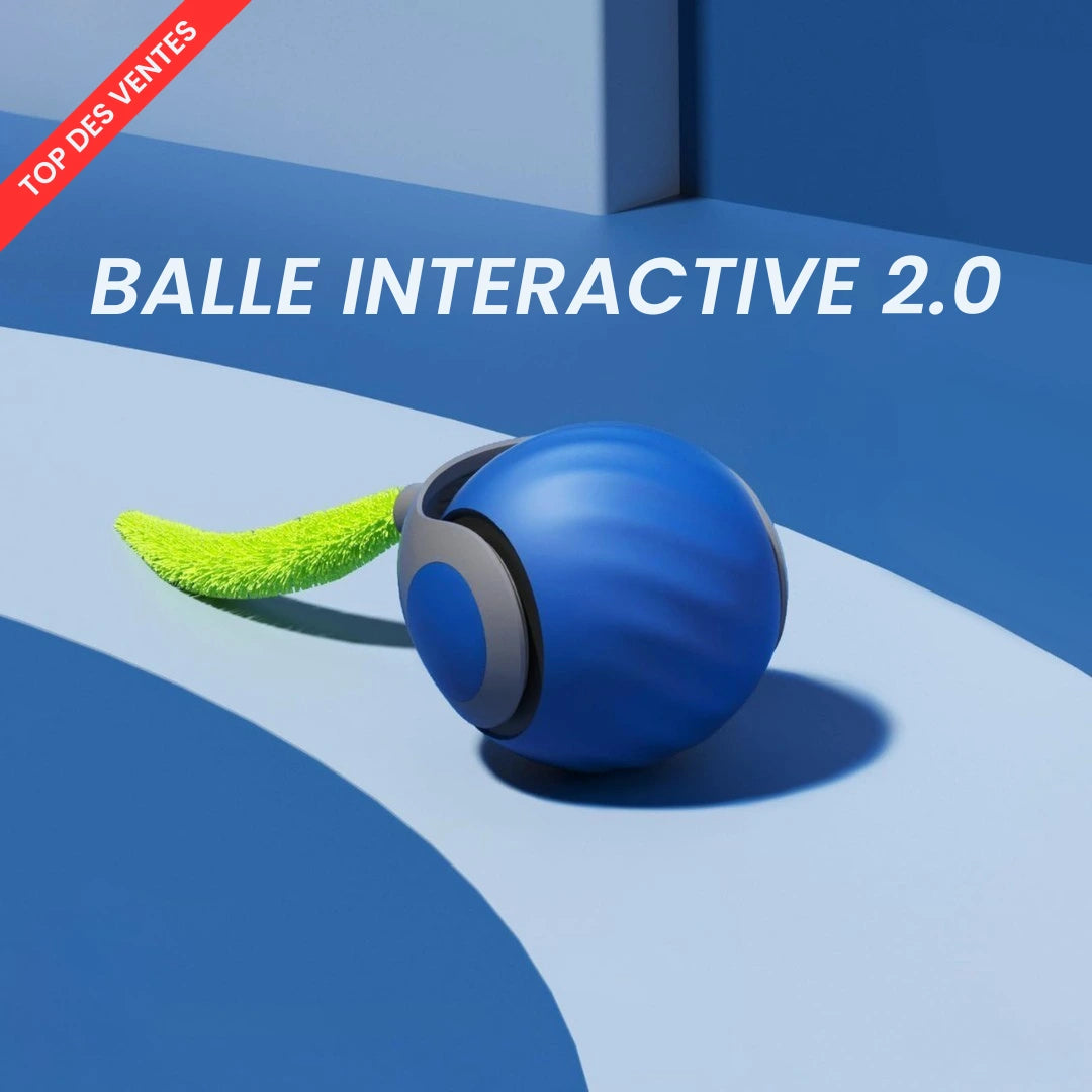 Balle Interactive 2.0 - RoyalePatte™