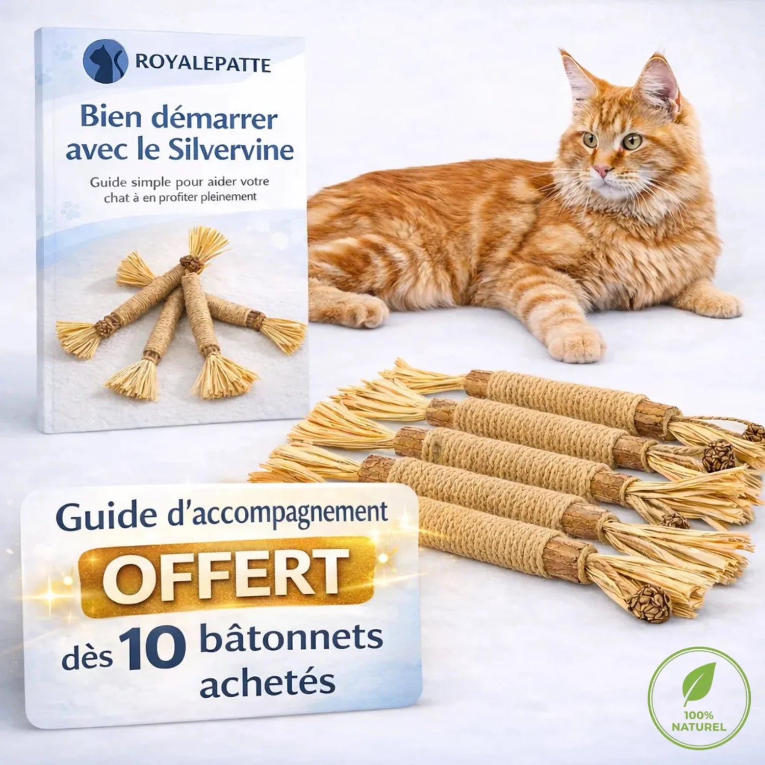 Bâtonnets au silvervine – RoyalePatte™