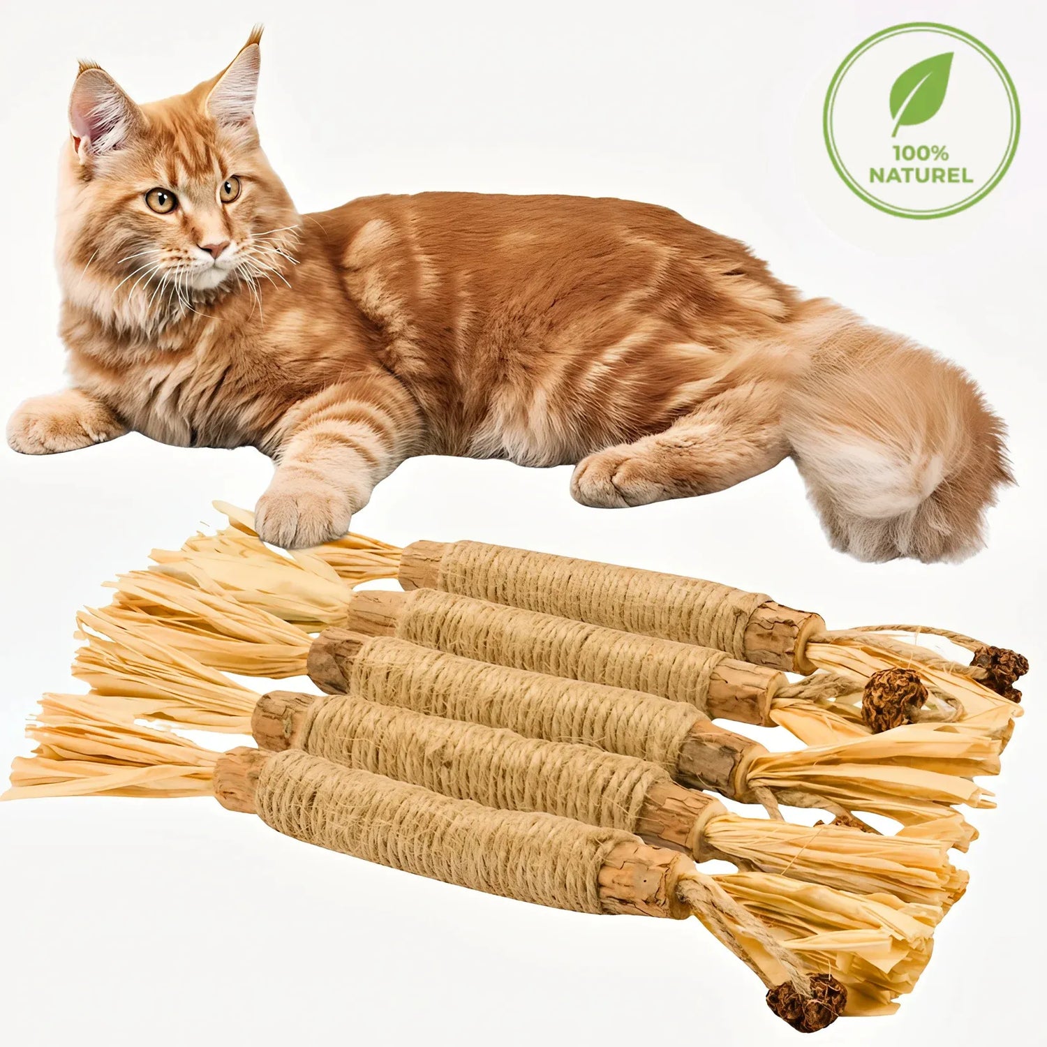 Bâtonnets dentaires pour chat – RoyalePatte™