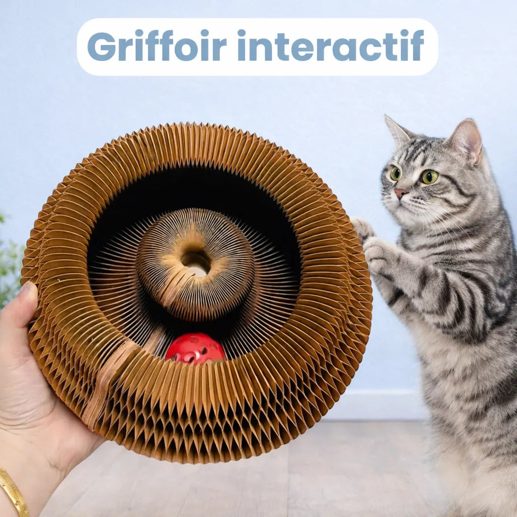 Griffoir interactif pour chats - RoyalePatte™