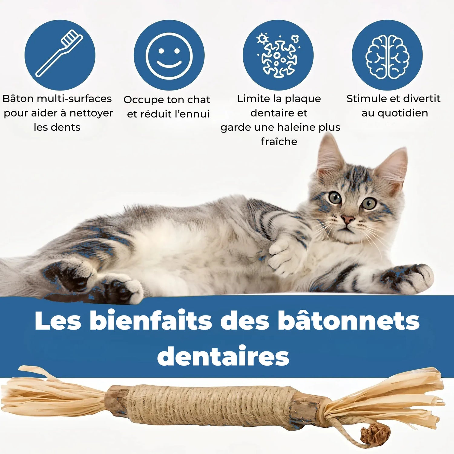 Bâtonnets dentaires pour chat – RoyalePatte™