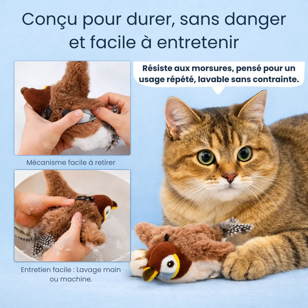 Oiseau Interactif 2.0 - RoyalePatte™
